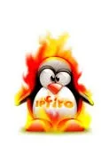 IPFire mascot: a penguin wrapped in flames